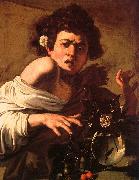 Caravaggio Youth Bitten by a Green Lizard China oil painting reproduction