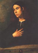 Giorgione Portrait of a Youth (Antonio Broccardo) dsdg China oil painting reproduction