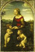 Raphael virgin and child wild st. oil painting artist