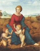 Raphael Madonna del Prato oil